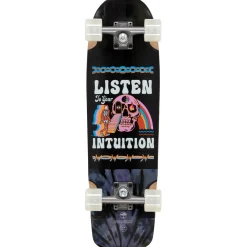 Arbor Pilsner Artist Cruiser Skateboard Complete- Cruiser Completes