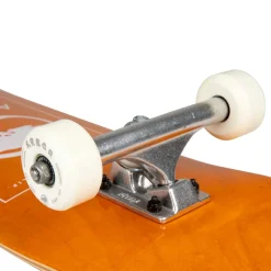 Arbor Street 8.25 Skateboard Complete- Skateboard Completes