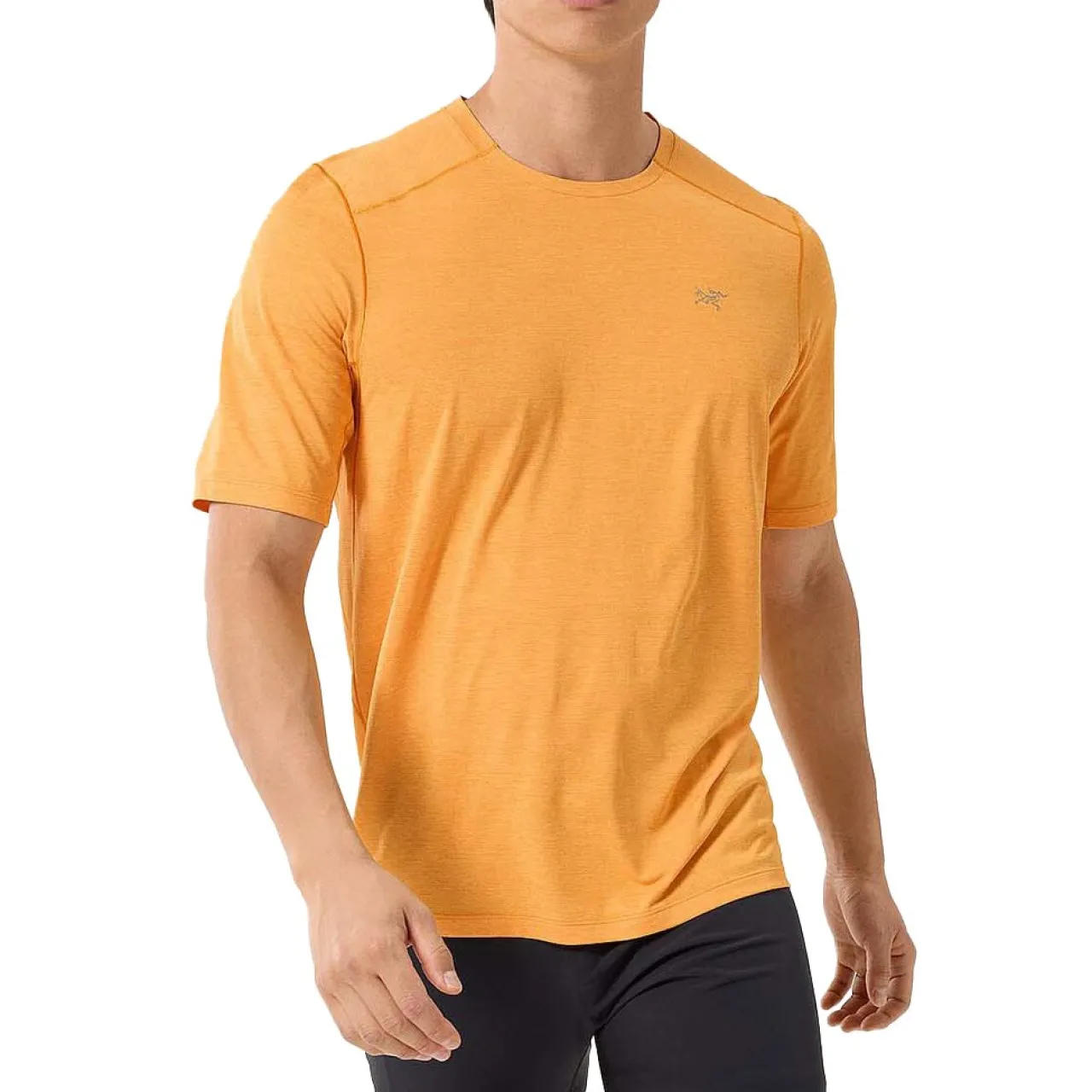 Arc'teryx Cormac Crew Short-Sleeve T-Shirt - Men's- Active Clothing|Casual Clothing