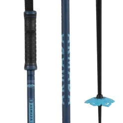 Armada Legion Ski Poles 2025- Ski Poles