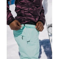 Burton AK Cyclic GORE-TEX 2L Pants - Men's- Snow Clothing|Snowboard Pants & Bibs