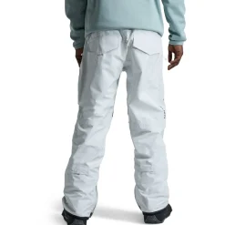Burton Ballast GORE-TEX 2L Pants - Men's- Snow Clothing|Snowboard Pants & Bibs