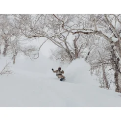 Burton Fish 3D Snowboard + Genesis EST Snowboard Bindings 2025- Snowboards With Bindings|Snowboard Packages