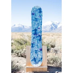 Coalition Snow Queen Bee Snowboard + Flux EM Snowboard Bindings - Women's 2025- Snowboards With Bindings|Snowboard Packages