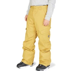 DC Banshee Pants - Men's- Snow Clothing|Snowboard Pants & Bibs