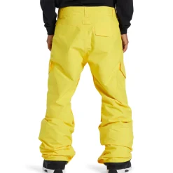DC Banshee Pants - Men's- Snow Clothing|Snowboard Pants & Bibs