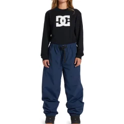 DC Primo Pants - Men's- Snow Clothing|Snowboard Pants & Bibs