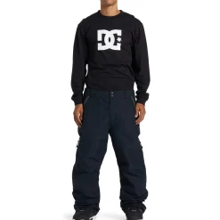 DC Squadron 30K Pants - Men's- Snow Clothing|Snowboard Pants & Bibs