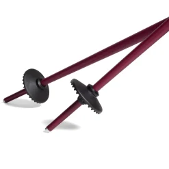 evo Merge Ski Poles 2025- Ski Poles