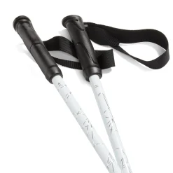 evo Refract Ski Poles- Ski Poles