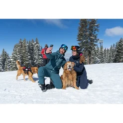 Helly Hansen Alpha Lifaloft Pants- Snow Clothing|Snowboard Pants & Bibs