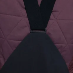 L1 Sao Bibs - Women's-Women Snow Clothing|Snowboard Pants & Bibs