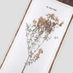 Pass~Port Invasive Species St Johns Wort 8.38 Skateboard Deck- Decks