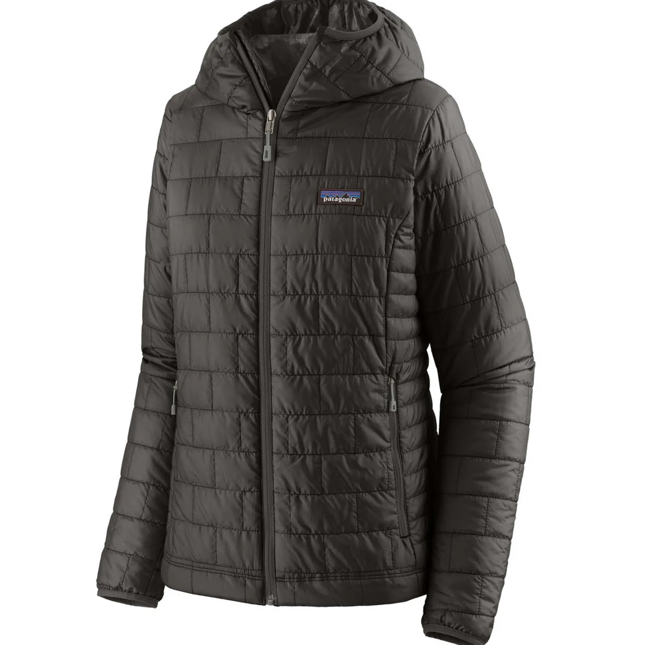 Patagonia Nano Puff Hoodie - Women's-Women Casual Clothing|Snow Clothing
