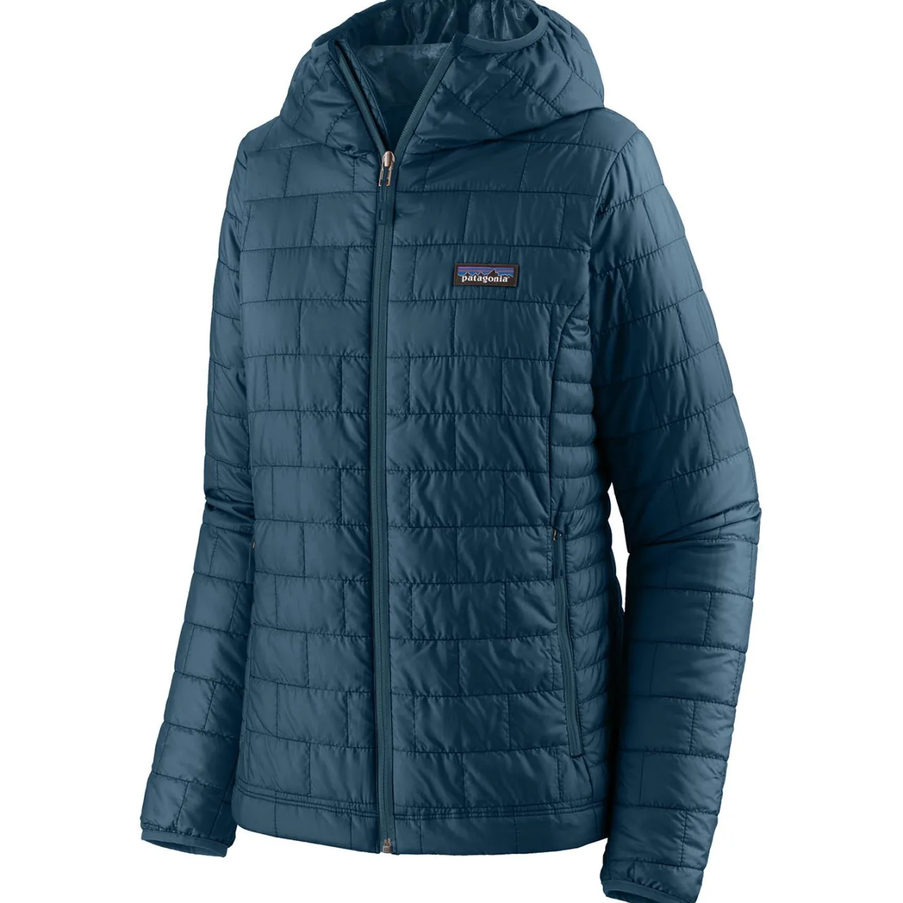 Patagonia Nano Puff Hoodie - Women's-Women Casual Clothing|Snow Clothing
