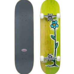 Real Regrowth DLX True Fit 8.25 Skateboard Complete- Skateboard Completes