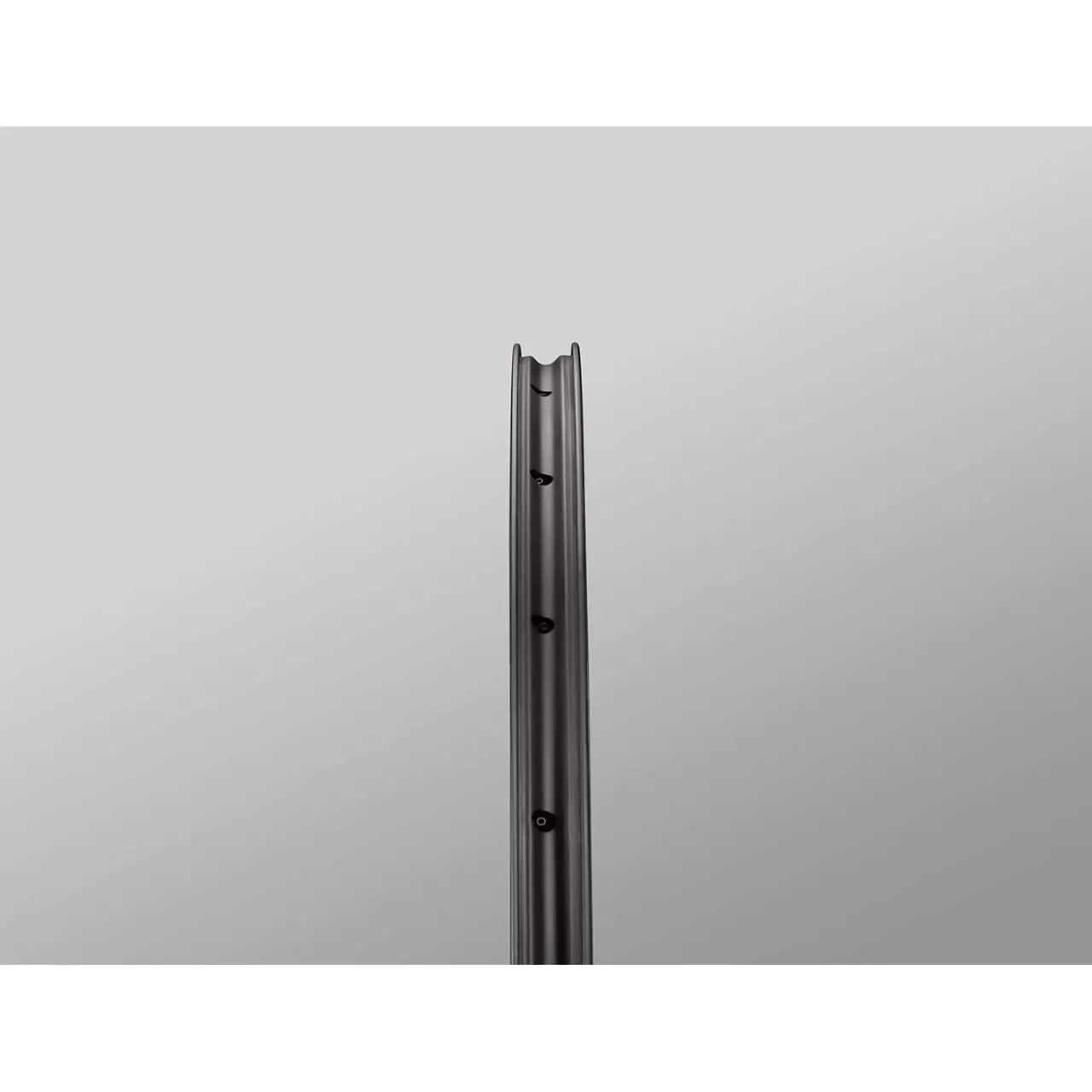 Reserve 25 GR Wheelset - 700c- Wheels