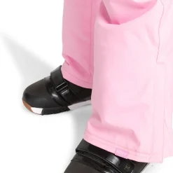 Roxy Backyard Pants - Women's-Women Snow Clothing|Snowboard Pants & Bibs