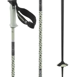 Salomon Polar Pro S3 Ski Poles 2025- Ski Poles