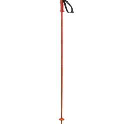 Salomon Polar Ski Poles 2025- Ski Poles
