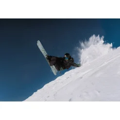 Salomon QST 100 Skis 2026- Skis