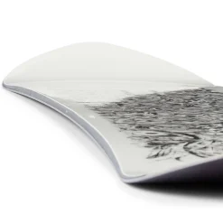 Sims x evo UAP Snowboard- Snowboards