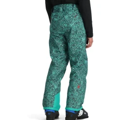 Spyder Seventy Pants - Men's- Snow Clothing|Ski Pants & Bibs