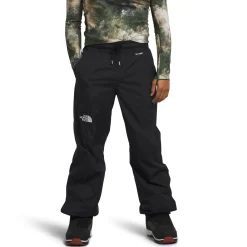 The North Face Build Up Pants - Men's- Snow Clothing|Snowboard Pants & Bibs