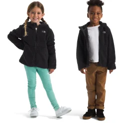 The North Face Campshire Full Zip Hoodie - Toddlers'-Kids Toddler Clothing|Toddler Jackets