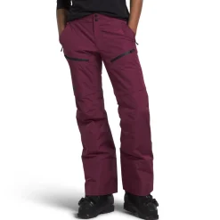 The North Face Dawnstrike GORE-TEX Insulated Tall Pants - Women's-Women Tall|Snow Clothing