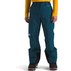 The North Face Dawnstrike GORE-TEX Pants - Men's- Snow Clothing|Snowboard Pants & Bibs