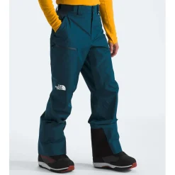 The North Face Dawnstrike GORE-TEX Pants - Men's- Snow Clothing|Snowboard Pants & Bibs