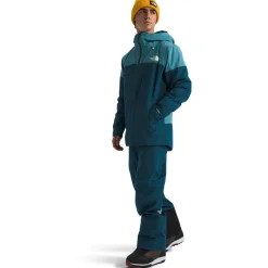 The North Face Dawnstrike GORE-TEX Pants - Men's- Snow Clothing|Snowboard Pants & Bibs