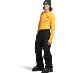 The North Face Dawnstrike GORE-TEX Pants - Men's- Snow Clothing|Snowboard Pants & Bibs