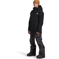 The North Face Dawnstrike GORE-TEX Insulated Jacket - Men's- Snow Clothing|Snowboard Jackets