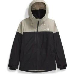 The North Face Dawnstrike GORE-TEX Insulated Jacket - Men's- Snow Clothing|Snowboard Jackets