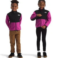The North Face Denali Jacket - Toddlers'-Kids Toddler Clothing|Toddler Jackets