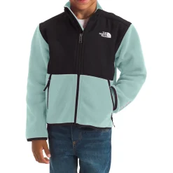 The North Face Denali Jacket - Toddlers'-Kids Toddler Clothing|Toddler Jackets