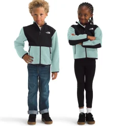 The North Face Denali Jacket - Toddlers'-Kids Toddler Clothing|Toddler Jackets