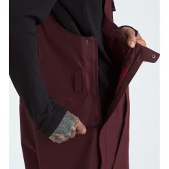 The North Face Dragline Bibs - Men's- Snow Clothing|Ski Pants & Bibs