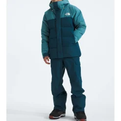 The North Face Freedom Bibs - Men's- Snow Clothing|Snowboard Pants & Bibs