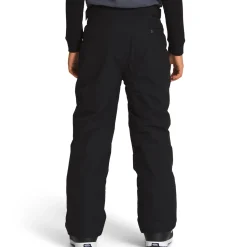 The North Face Freedom Insulated Pants - Boys'-Kids Boys Snow Clothing|Kids Snow Clothing