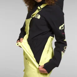 The North Face Freedom Insulated Bibs - Women's-Women Snow Clothing|Snowboard Pants & Bibs