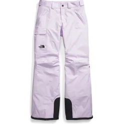 The North Face Freedom Insulated Short Pants - Women's-Women Short|Snow Clothing