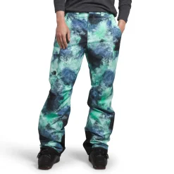 The North Face Freedom Insulated Tall Pants - Men's- Short|Snow Clothing