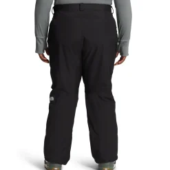 The North Face Freedom Insulated Plus Short Pants - Women's-Women Short|Snow Clothing