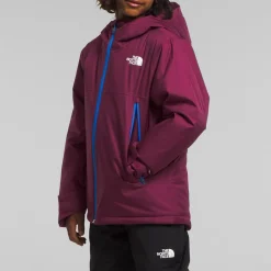 The North Face Freedom Insulated Jacket - Boys'-Kids Kids Jackets|Boys Snow Clothing
