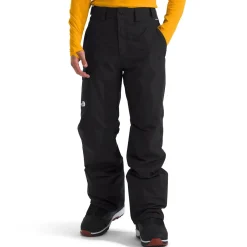 The North Face Freedom Insulated Short Pants - Men's- Short|Snow Clothing