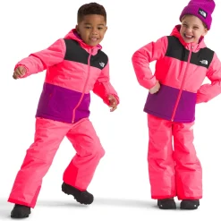 The North Face Freedom Insulated Jacket - Toddlers'-Kids Toddler Jackets|Toddler Snow Clothing