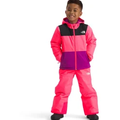The North Face Freedom Insulated Jacket - Toddlers'-Kids Toddler Jackets|Toddler Snow Clothing